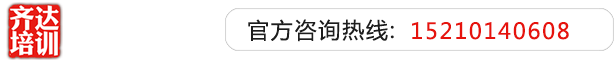 成人网站在线观看齐达艺考文化课-艺术生文化课,艺术类文化课,艺考生文化课logo